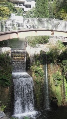 Pont Molitg